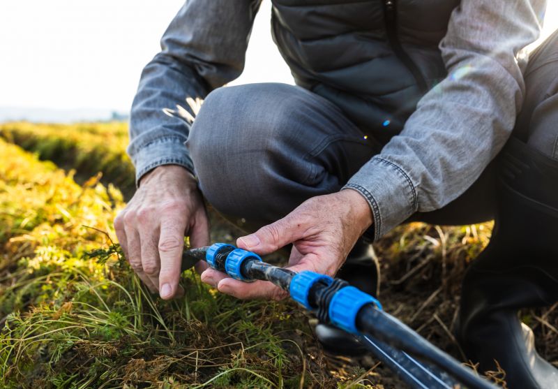 Seasonal Drainage Maintenance