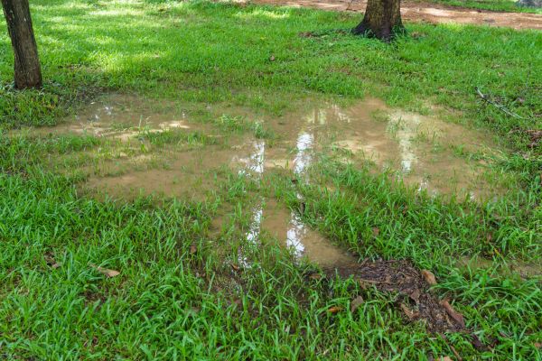 Cost of Storm Water Drainage Service in Bear