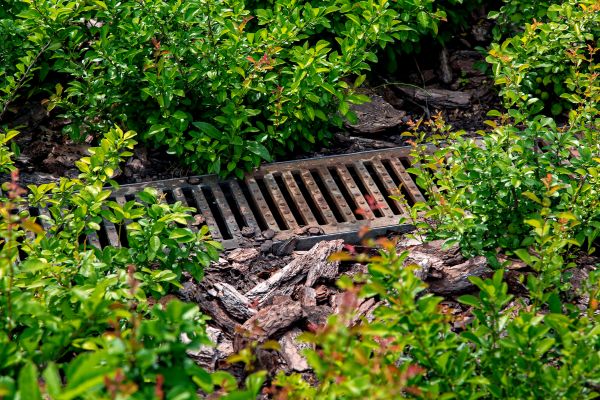 Cost of Underground Drainage Service in Bear