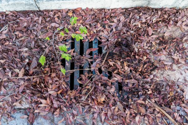 Cost of Yard Drain Unclogging in Bear