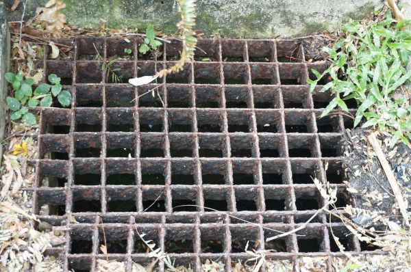 Cost of Yard Drain Cleaning in Bear