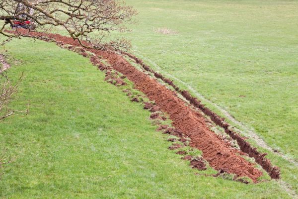 Cost of Swale Installation in Bear