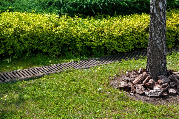 Cost of Residential Landscape Drainage in Bear