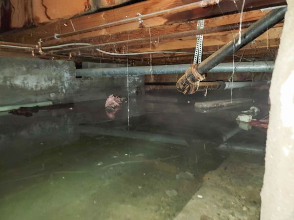 Cost of Crawlspace Drainage in Bear