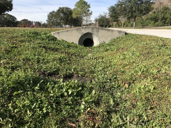 Cost of Swale Drainage Service in Bear