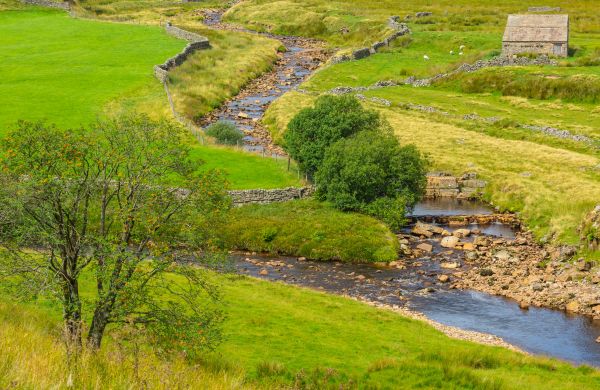 Cost of Swale Repair in Bear